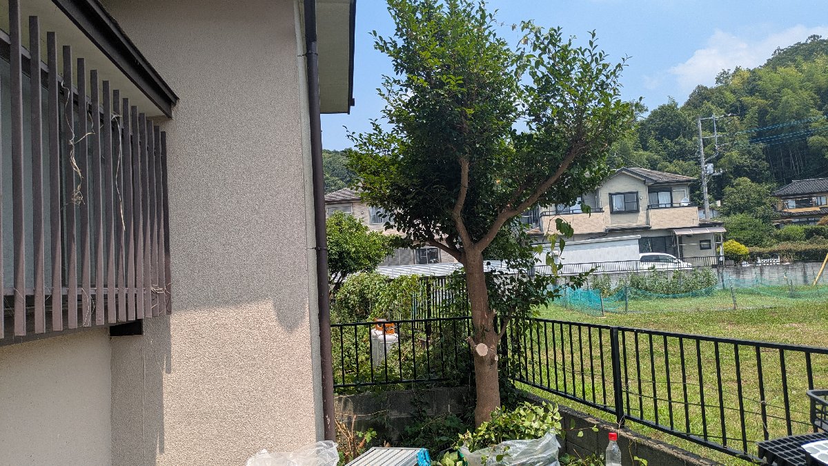 木の伐採