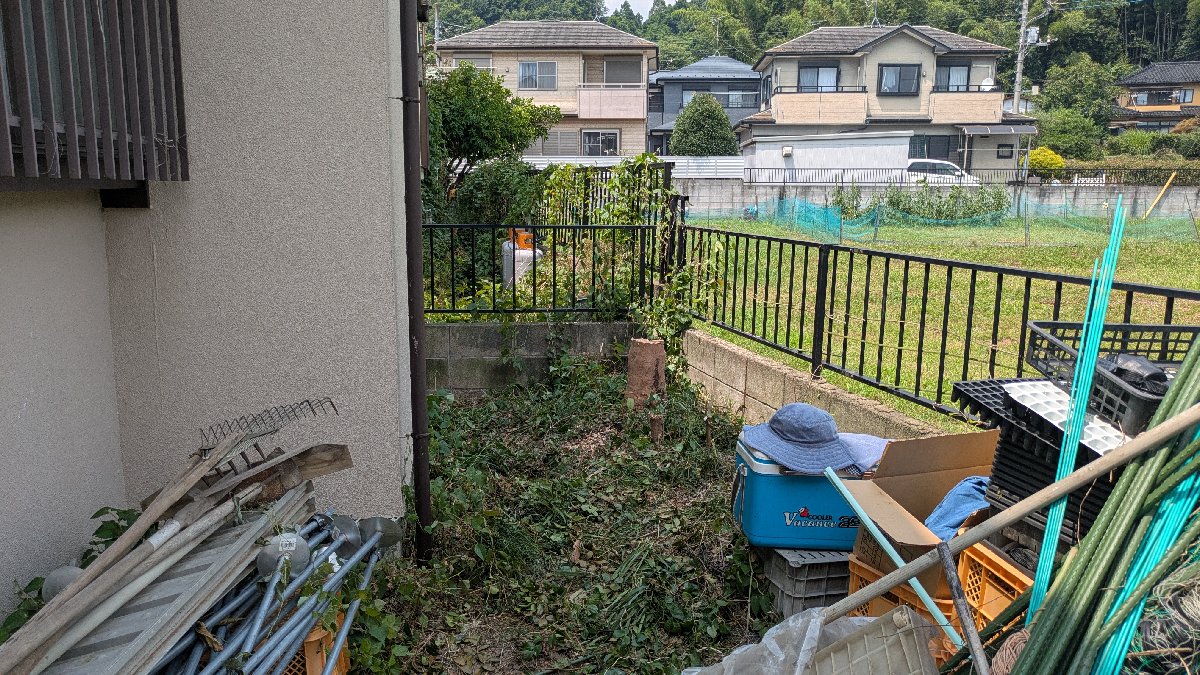 木の伐採