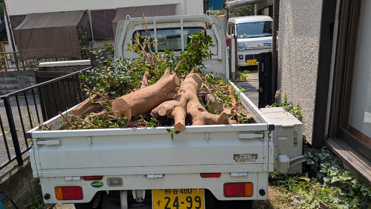 木の伐採