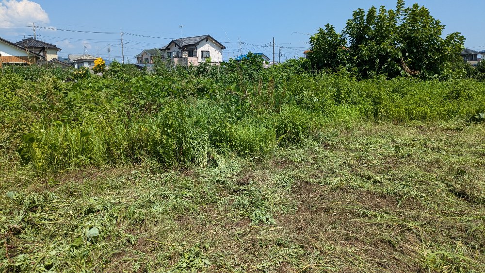 草刈り中